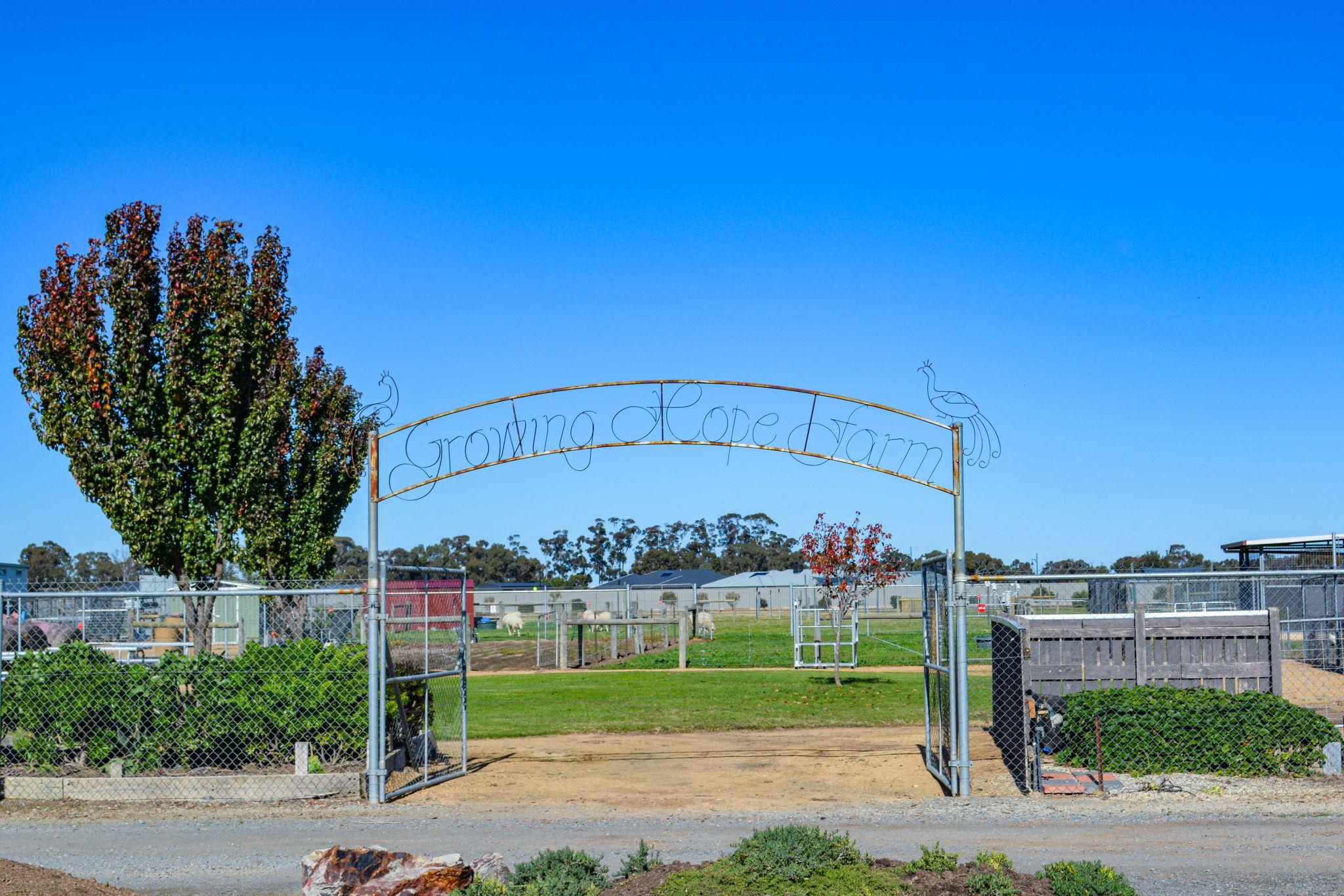 DSC 0191