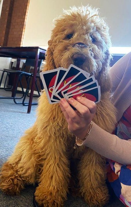 Poppy Playing Uno