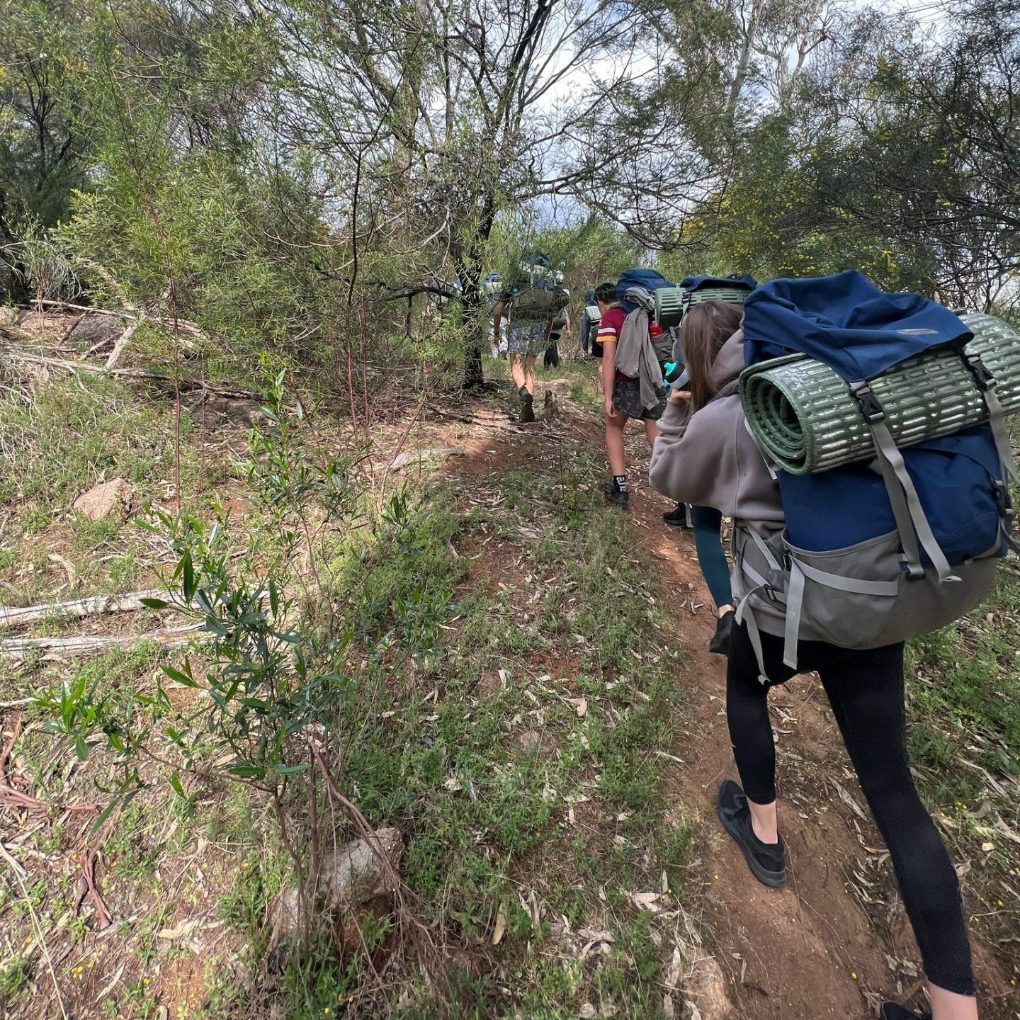 Kooyoora Camp 5