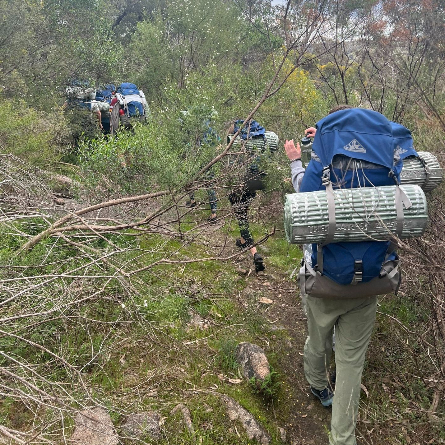Kooyoora Camp 7