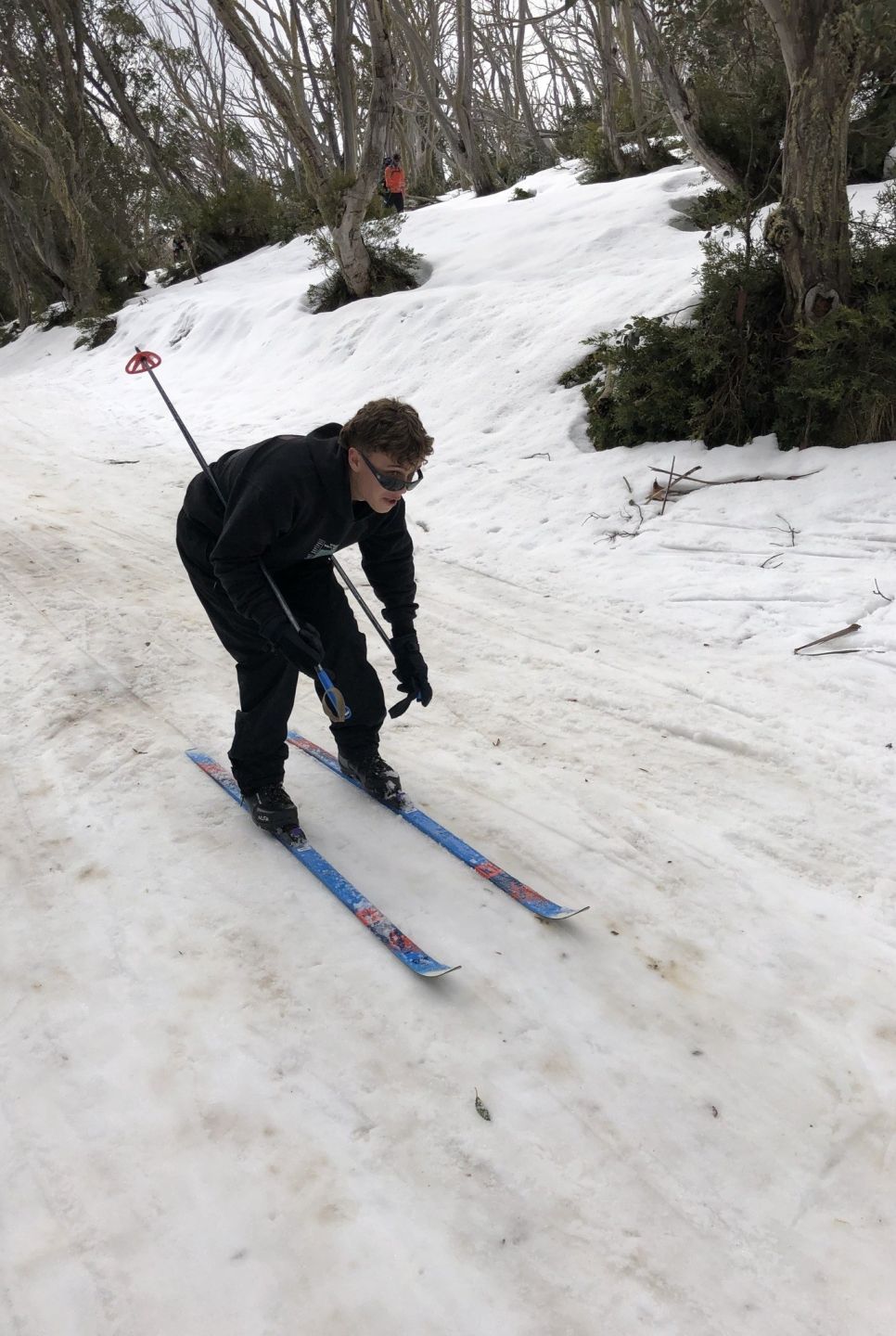 OED Ski 12