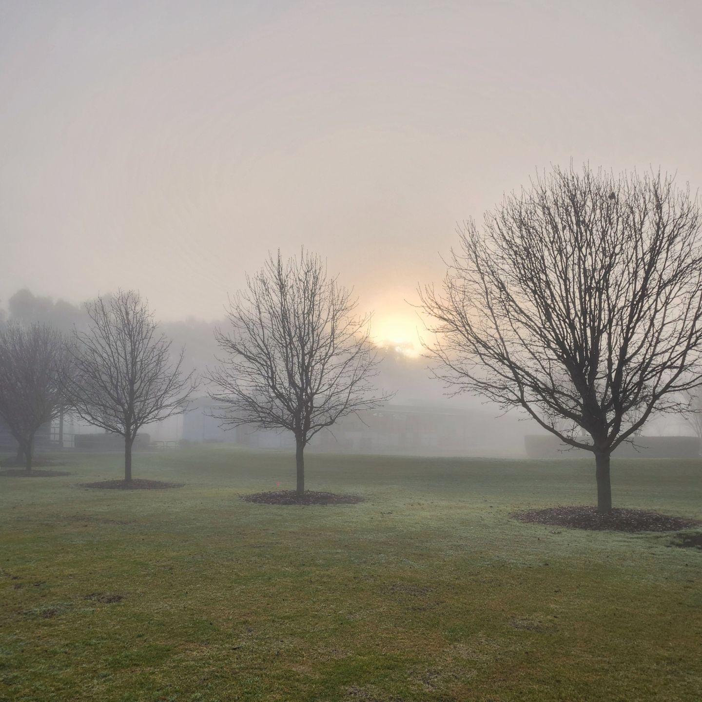 Winter at Emmaus