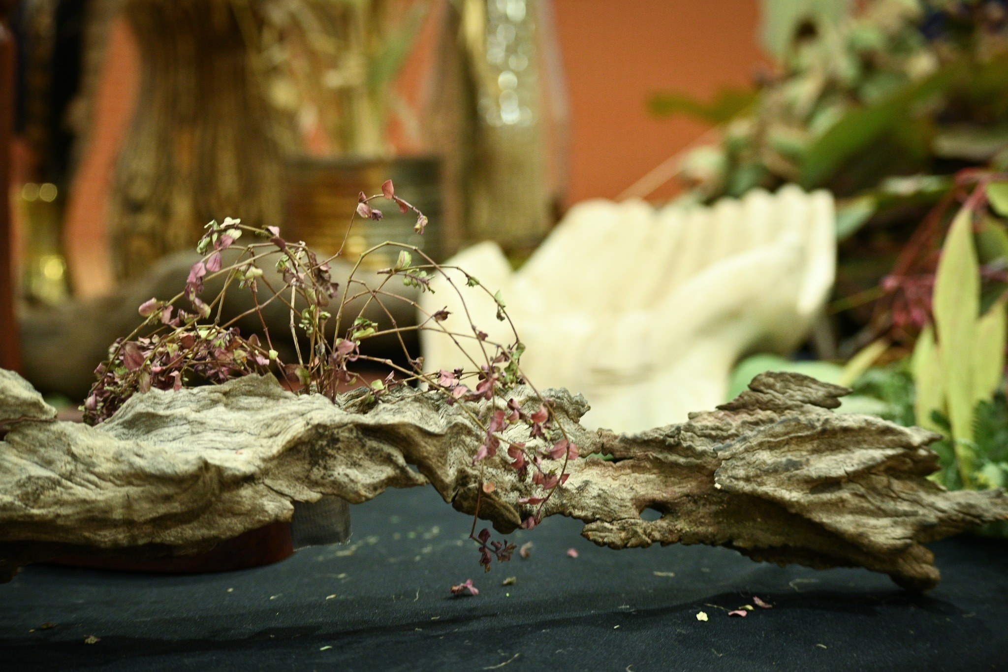 Reconciliation 9