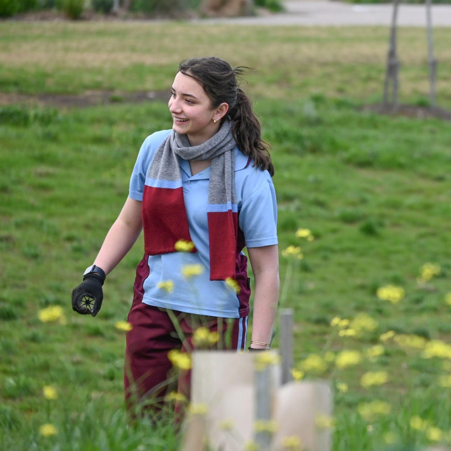 Tree Planting 1
