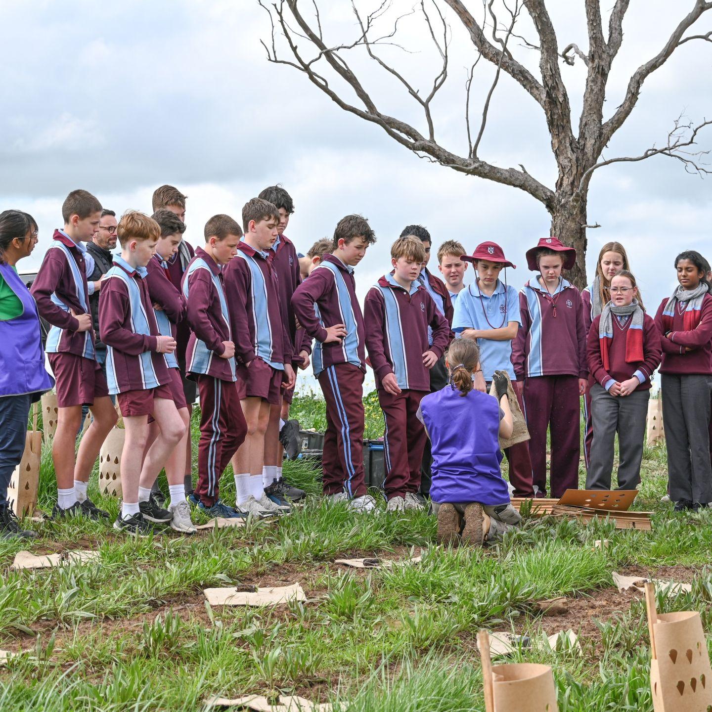 Tree Planting 2