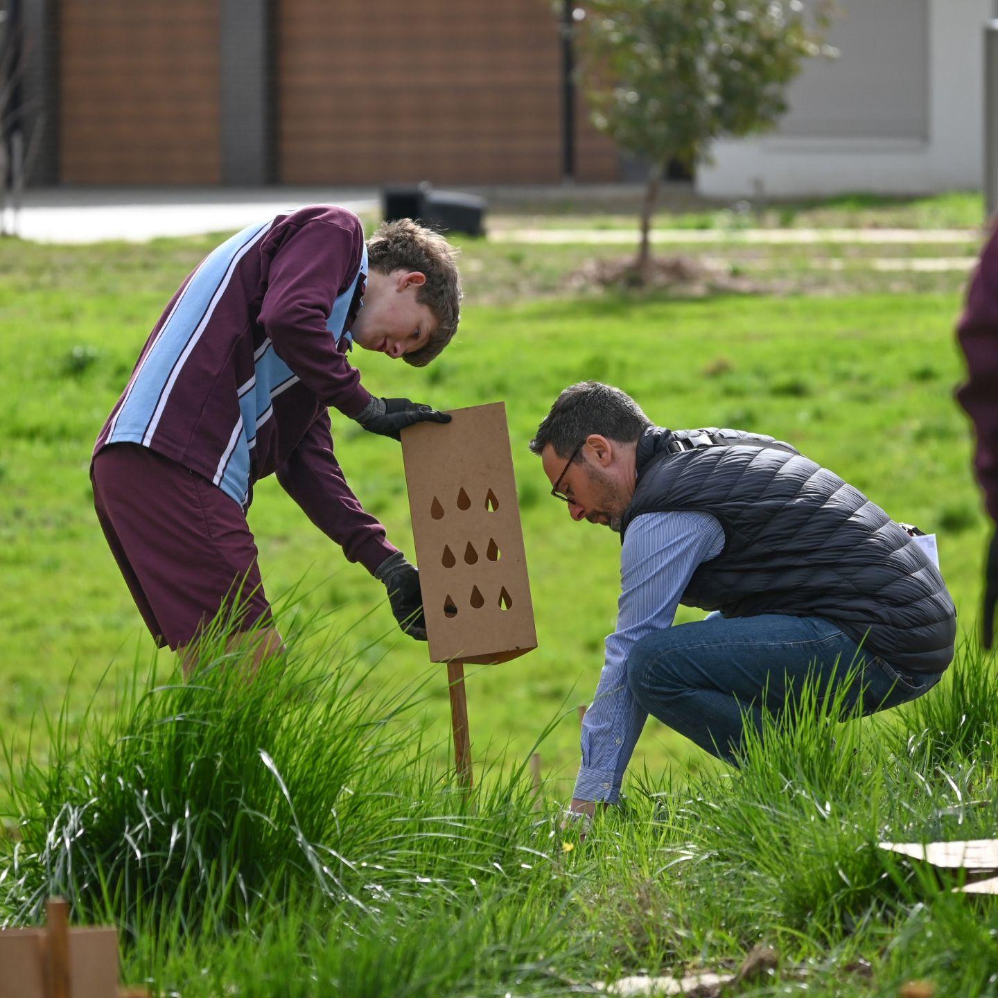 Tree Planting 5