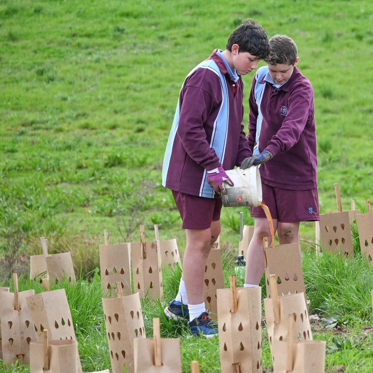 Tree Planting 6
