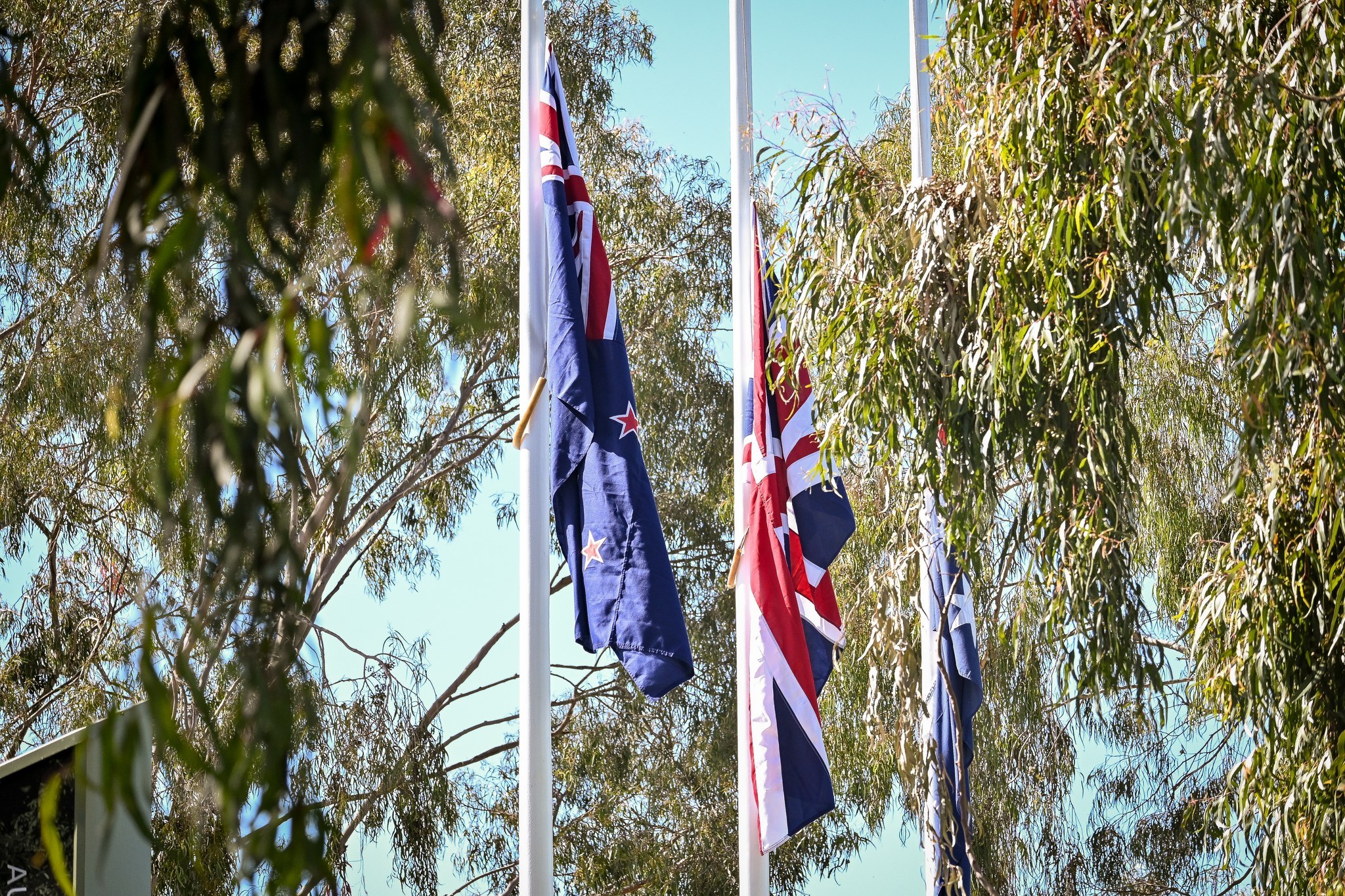 Remembrance 4