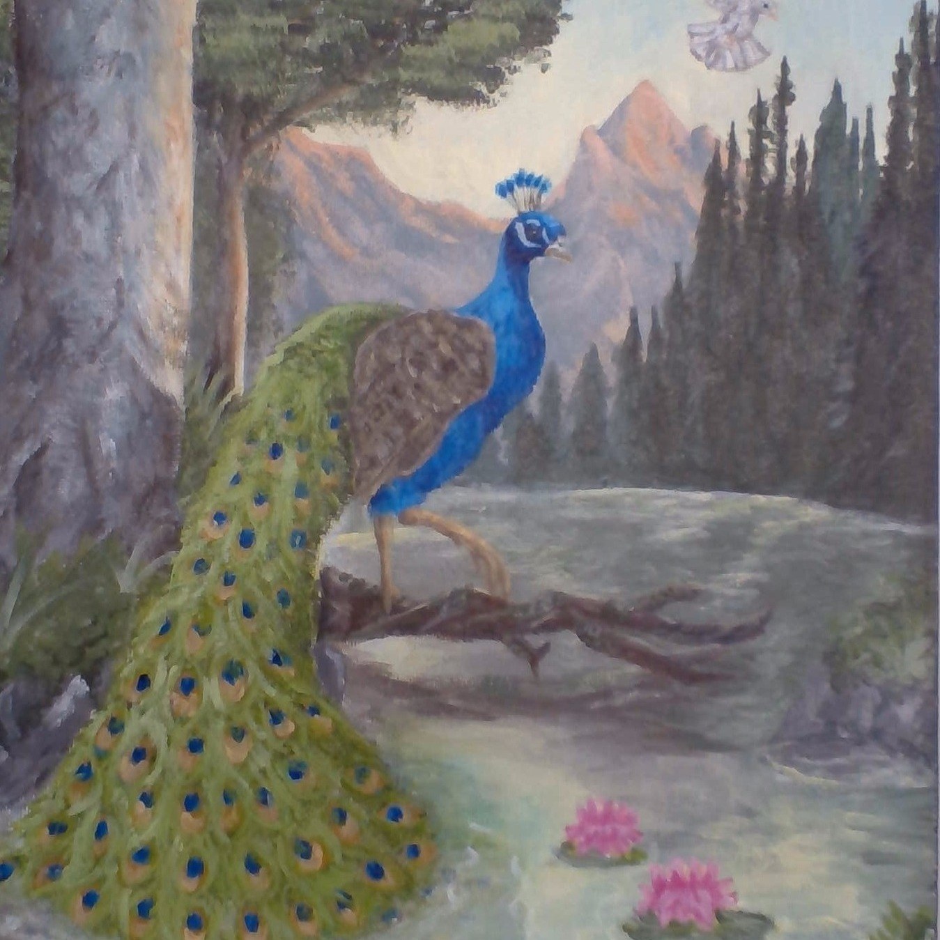 Art 6