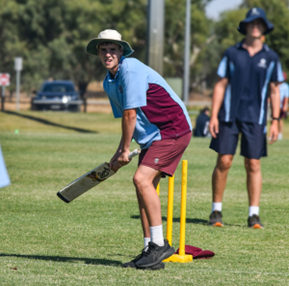 Sports Cricket