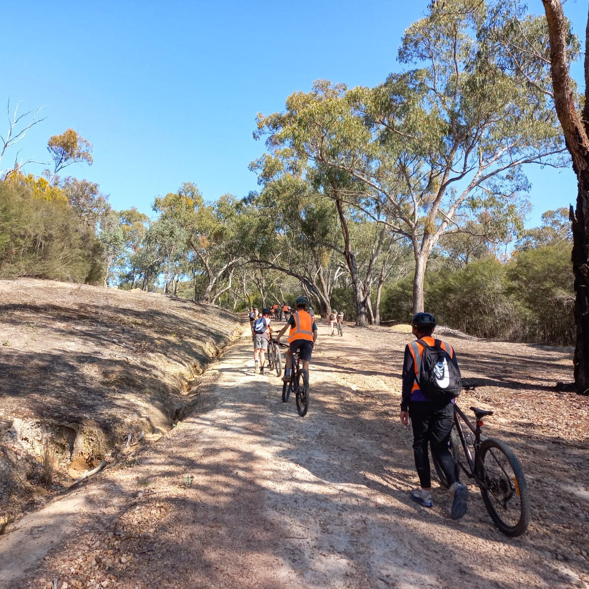 Eildon 11