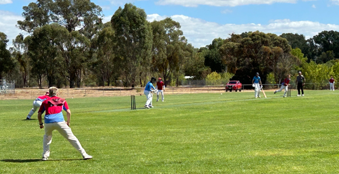 Rowville Cricket