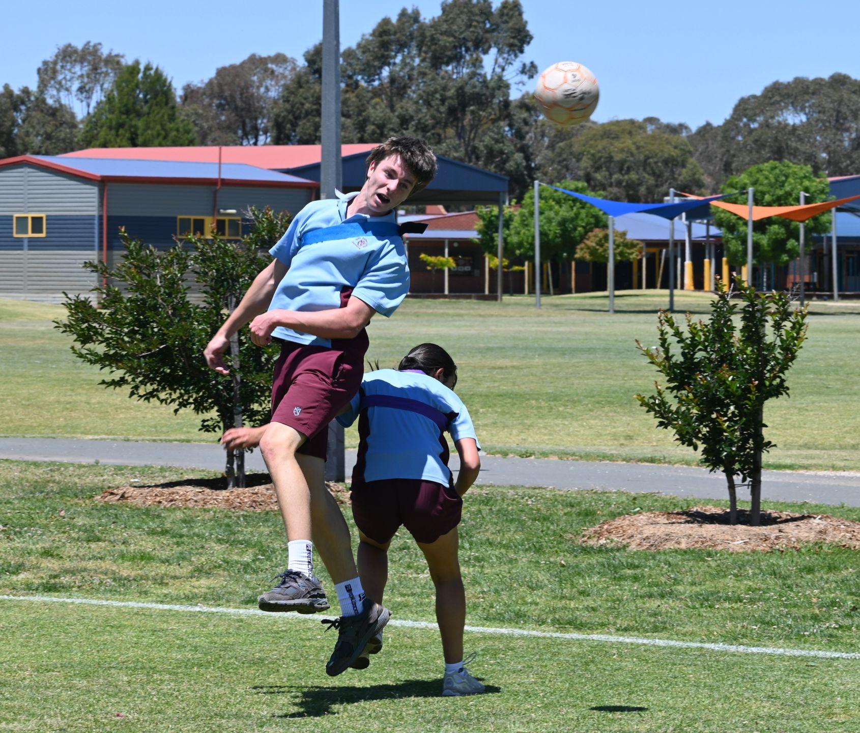 DSC 3973