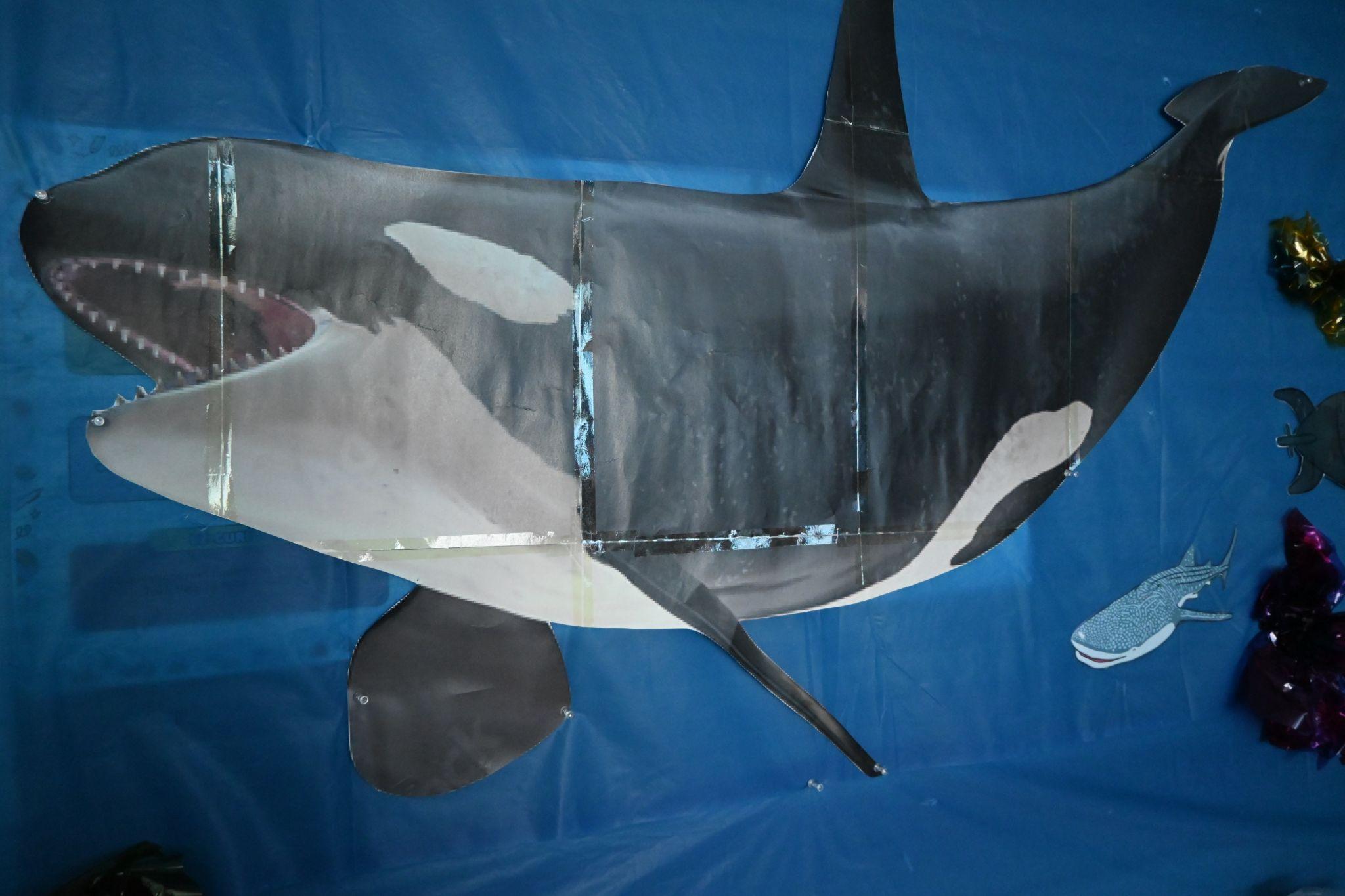 DSC 4385