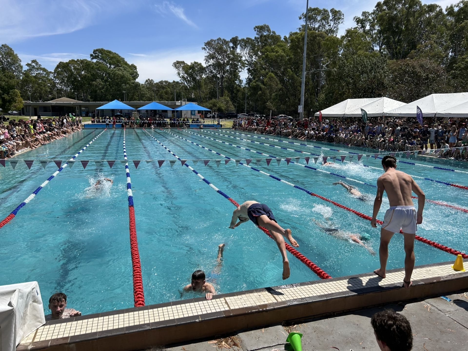 Swim 24 NDC