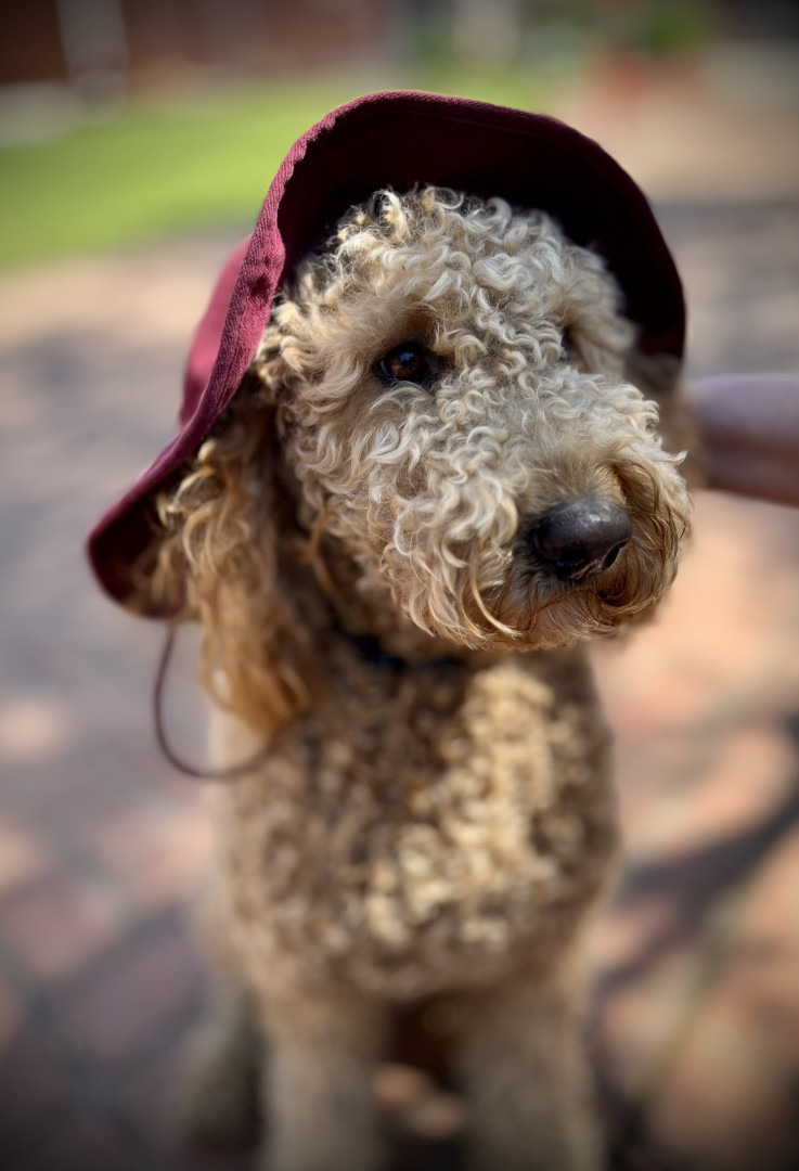 Rosie in hat
